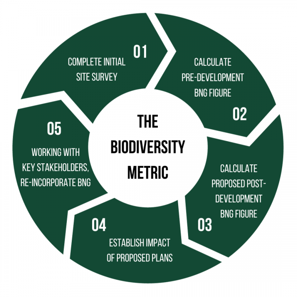 Breaking Down the Biodiversity Metric, By Senior Ecologist, Luc Hanse-Foster