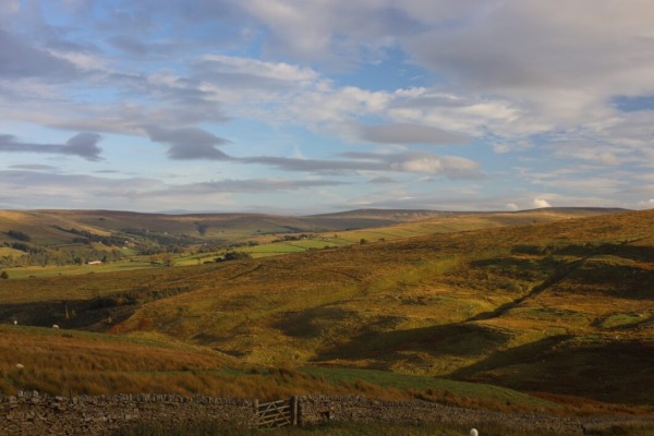 BNG Isn’t the Problem: What We’ve Learned in 2025