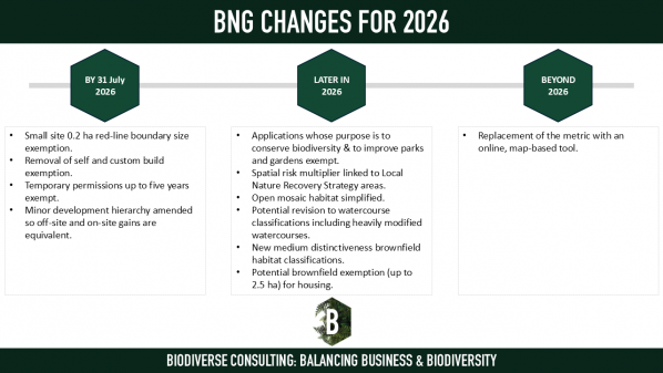 Biodiversity Net Gain: Changes for 2026