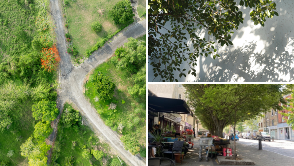 Lessons From Summer 2026: Why We Need to Re-Think Shade